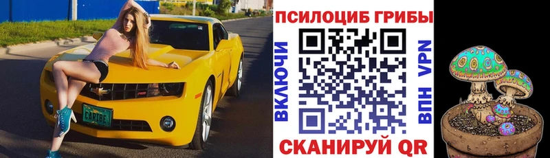 hydra   где продают наркотики  Усть-Катав  Псилоцибиновые грибы MAGIC MUSHROOMS 